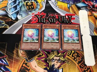 救世竜 セイヴァー・ドラゴン DP09 1 ノーマル 3枚セット てら