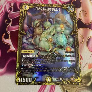 Absolute shield knight" (20th rare spec.)