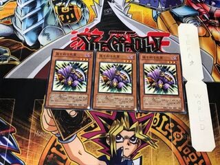 魂を削る死霊 SD12 3 ノーマル 3枚セット てら