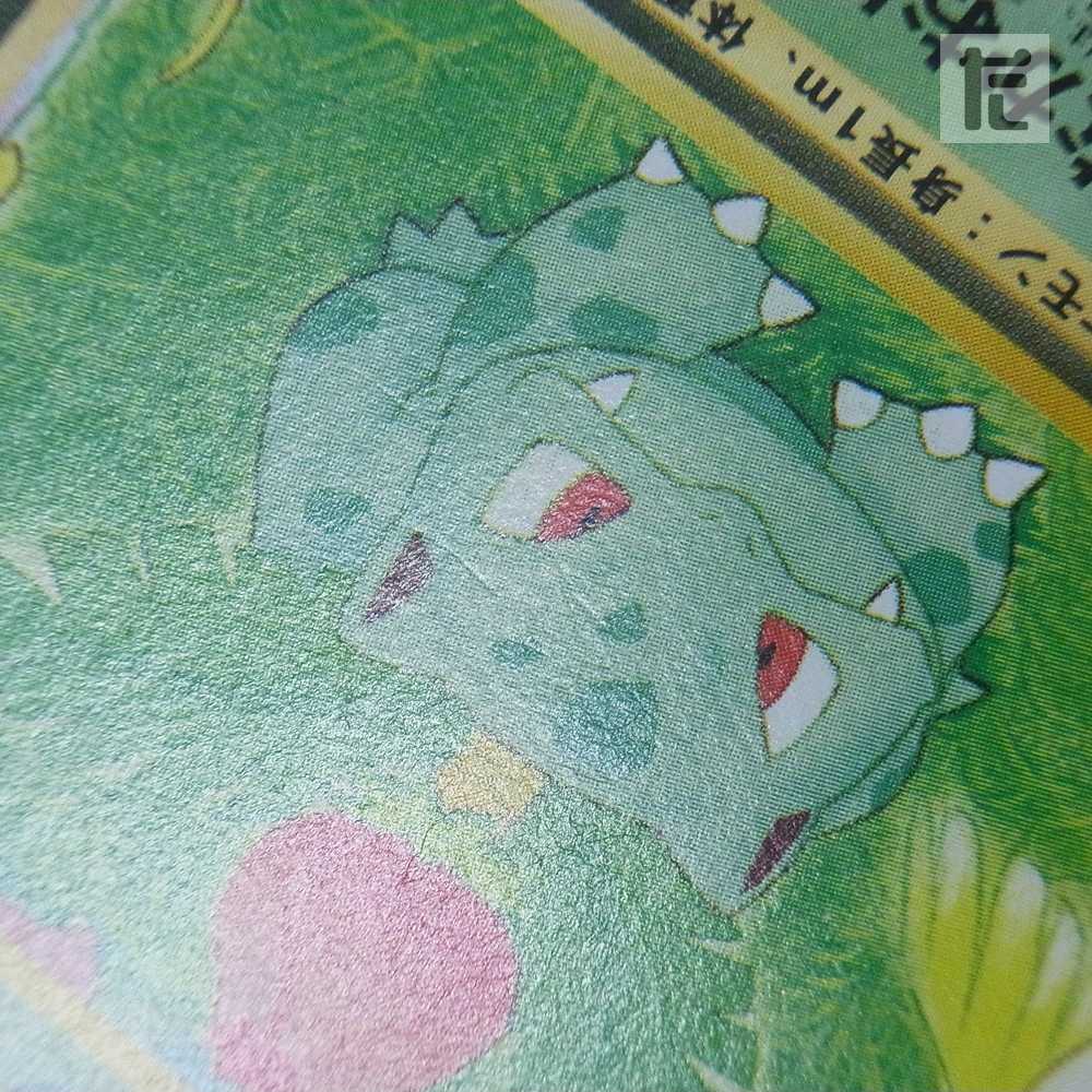 サザンアイランド レインボーアイランド 川辺 3枚入り 旧裏/管理:MP1156