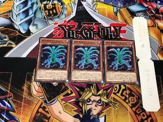 Predaplant Sarraceniant SPFE 2 Normal Set of 3 Tera