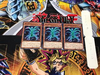 Predaplant Sarraceniant SPFE 5 Normal Set of 3 Tera