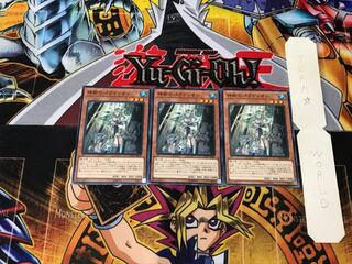 Crusadia Arboria CYHO 4 Normal Set of 3 Tera