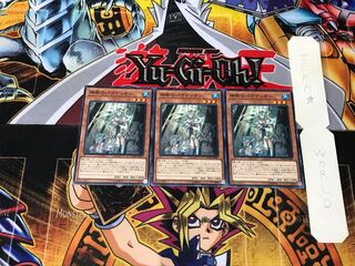 Crusadia Arboria CYHO 5 Normal Set of 3 Tera