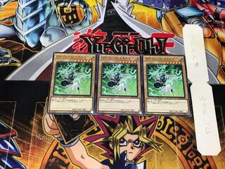 PSY-Frame Driver LVP2 3 Normal 3-card set Tera