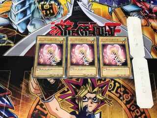 Harpie Girl EE3 2 Normal Set of 3 Tera