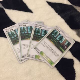 トキワの森 4枚セット