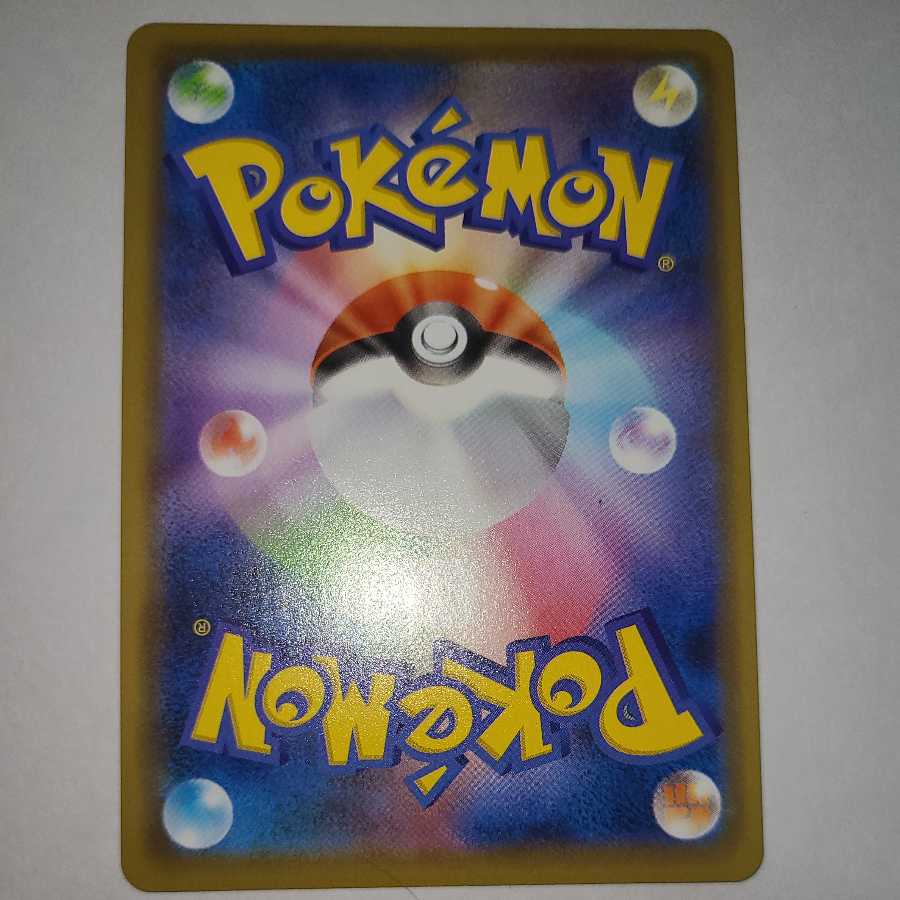 キバナ　キバナの不屈+α