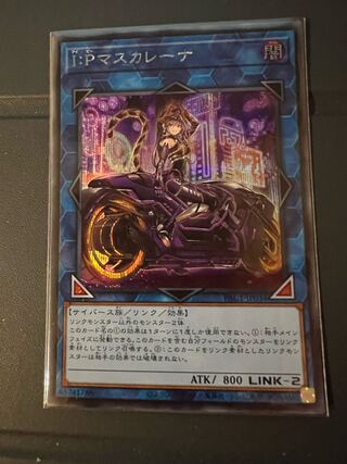 IP Mascarena Motorcycle Painting Secret