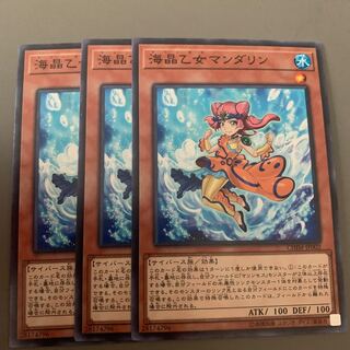 海晶乙女マンダリン