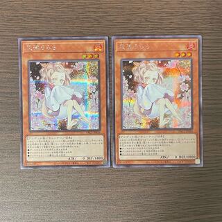 Ash Blossom & Joyous Spring (illustrated outside Umi) Secret Rare