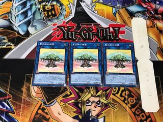 Sunavalon Dryades SLT1 2 Normal Set of 3 Tera