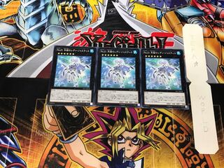 Number 21: Frozen Lady Justice PP17 2 Normal, set of 3 Tera