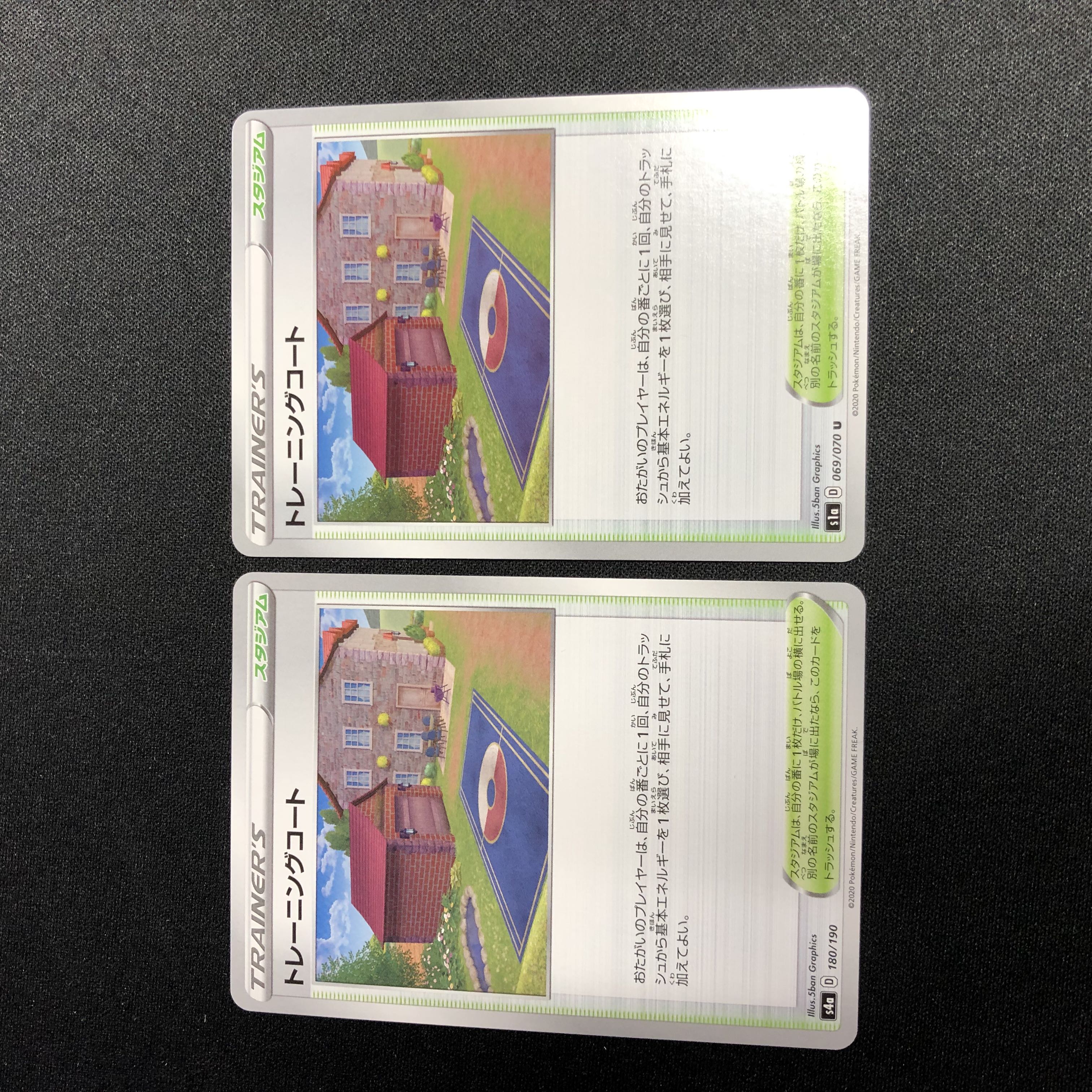 Training Court Set of 2