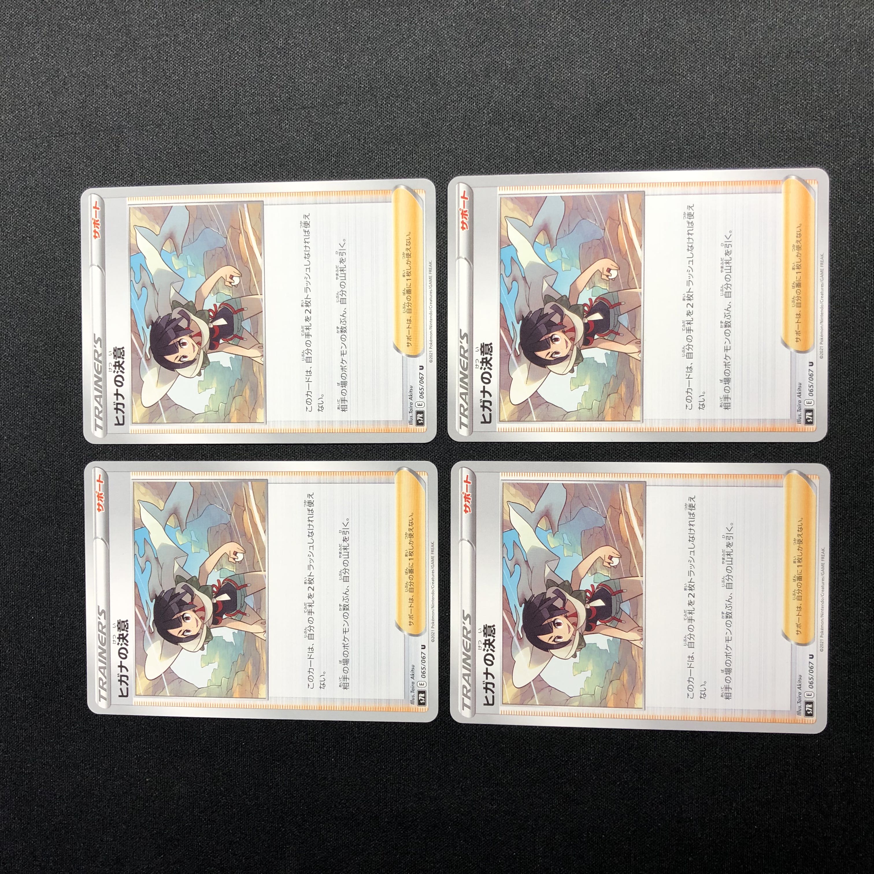 Zinnia's Determination U Set of 4