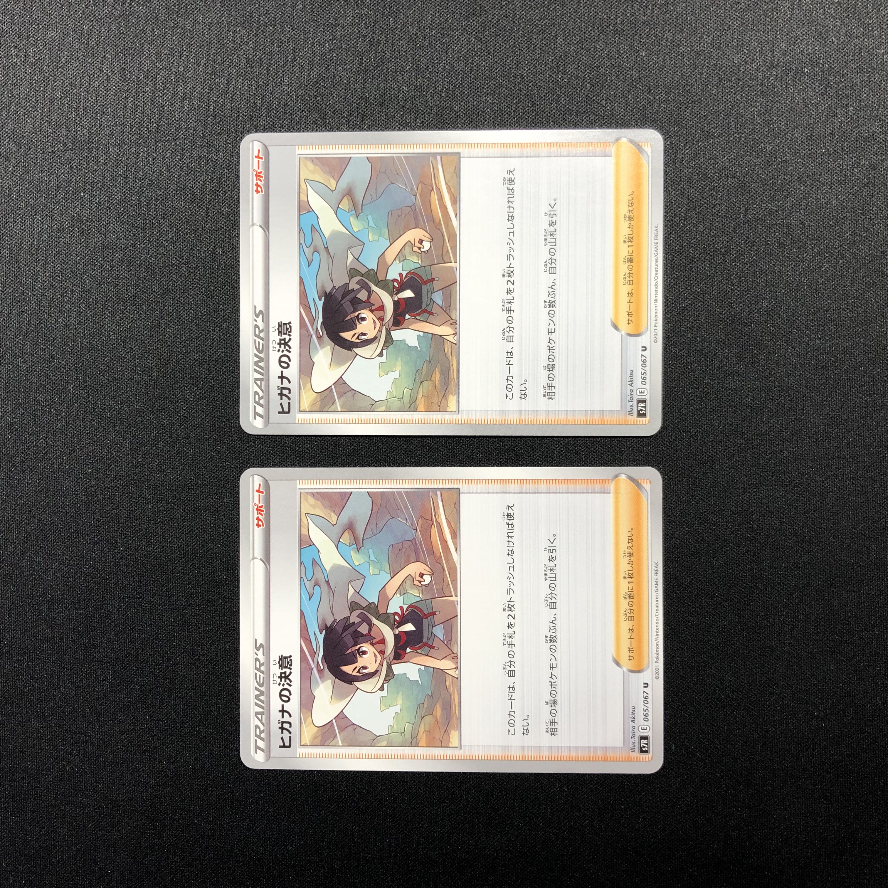 Zinnia's Determination U Set of 2