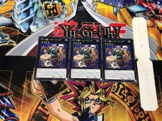 Zoodiac Hammerkong MACR 3 Normal Set of 3 Tera