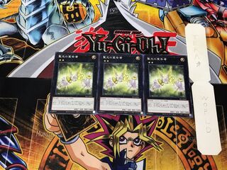 Herald of Pure Light SR12 1 Normal, set of 3 Tera.