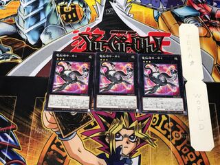 Dennou Sakai Kou - Kou PHRA 3 Normal, set of 3 Tera