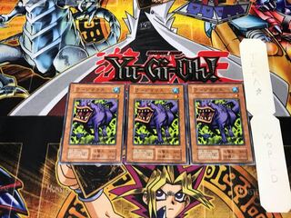 ラージマウス 1 初期 ノーマル 3枚セット てら