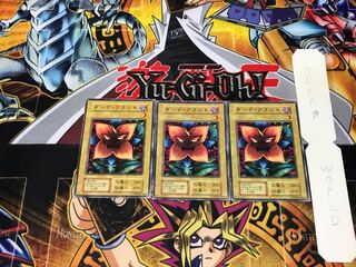 Dark Plant 1 Early Normal, set of 3 Tera.