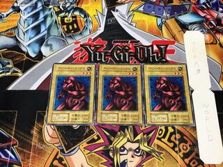 Little D 1 Early Normal Set of 3 Tera