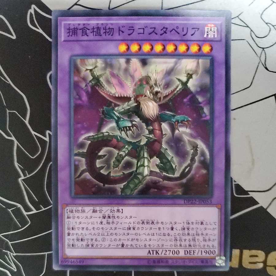 Predaplant Dragostapelia Normal 1)