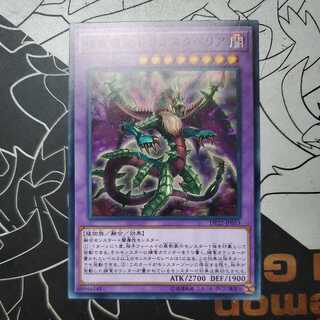 Predaplant Dragostapelia Normal ②