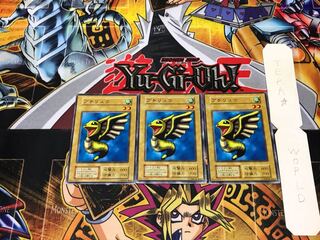 Petit Dragon 1 Early Normal Set of 3 Tera