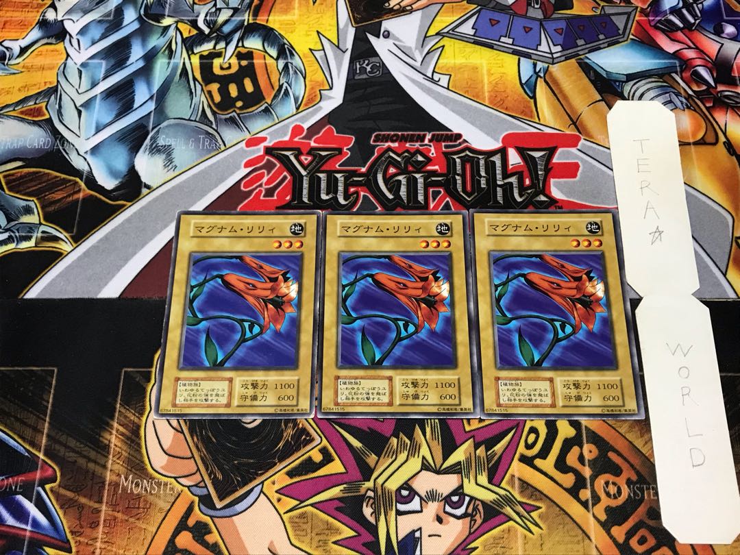 Magnum Lily 1 Early Normal Set of 3 Tera.