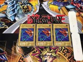 Magnum Lily 1 Early Normal Set of 3 Tera.