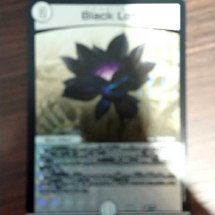 【最安値】 Black Lotus  ブラックロータス