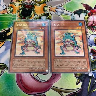 粋カエル 2枚セット