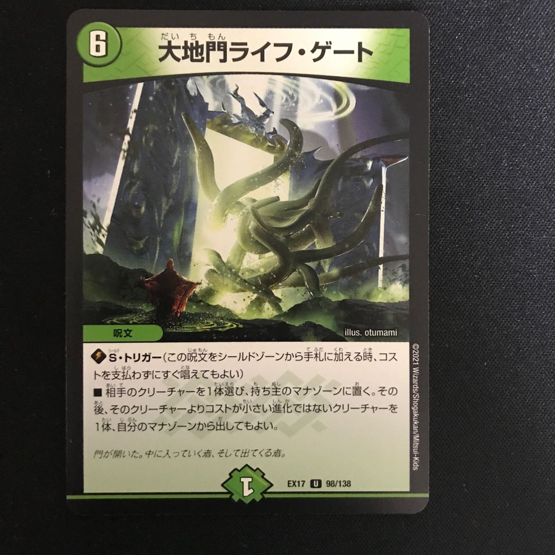 Large Gate Life Gate