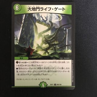 Large Gate Life Gate