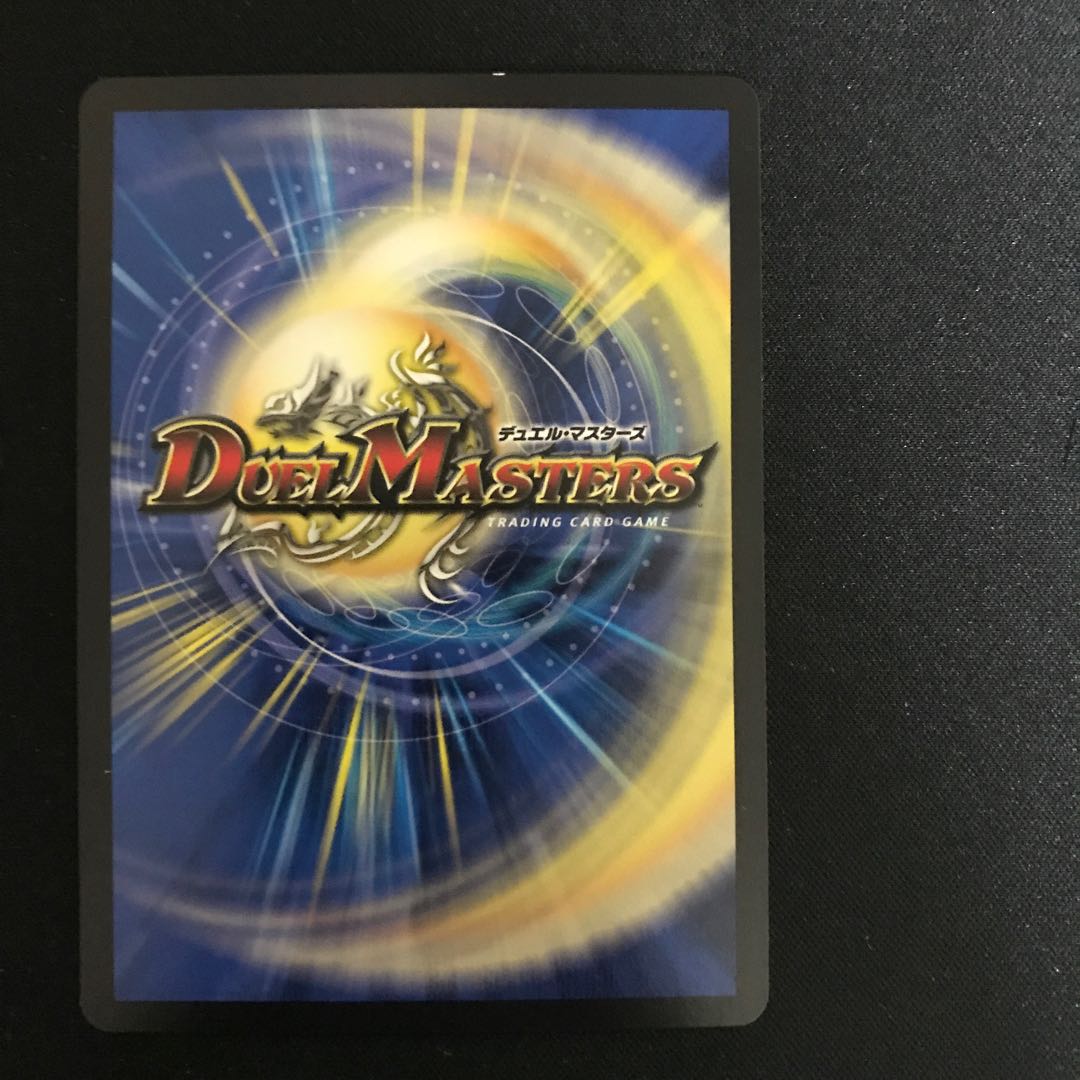 Large Gate Life Gate