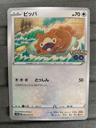 Ditto*Bidoof⑤.