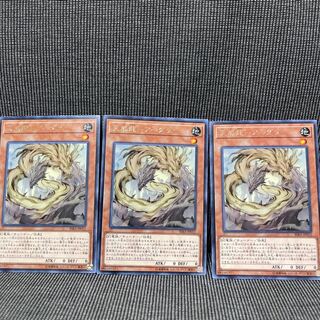 Tenwei Ryu - Ardala 3 pieces