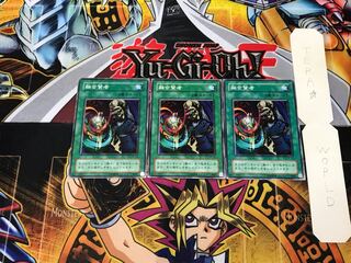 Fusion Sage BC 2nd period ver 2 normal, set of 3 Tera