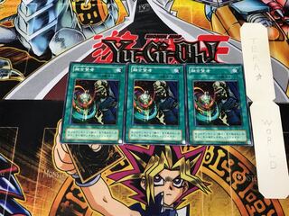 Fusion Sage PE 2nd period ver 2 normal, set of 3 Tera