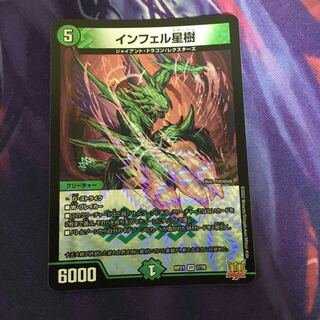 Infelix star tree (species of sedge, Infelix infertilis)