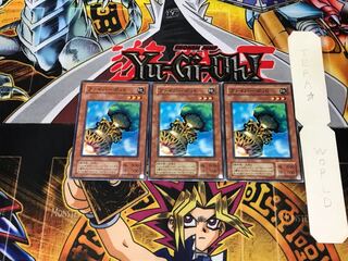 Fiber Jar MA 2nd period ver 2 Normal set of 3 Tera