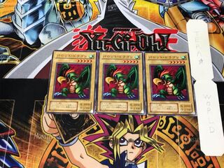 パロット・ドラゴン B3 2期ver 2 ノーマル 3枚セット てら