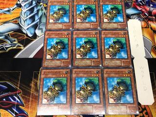 Fiber Jar MA 2nd period ver 1 Normal, set of 9 Tera