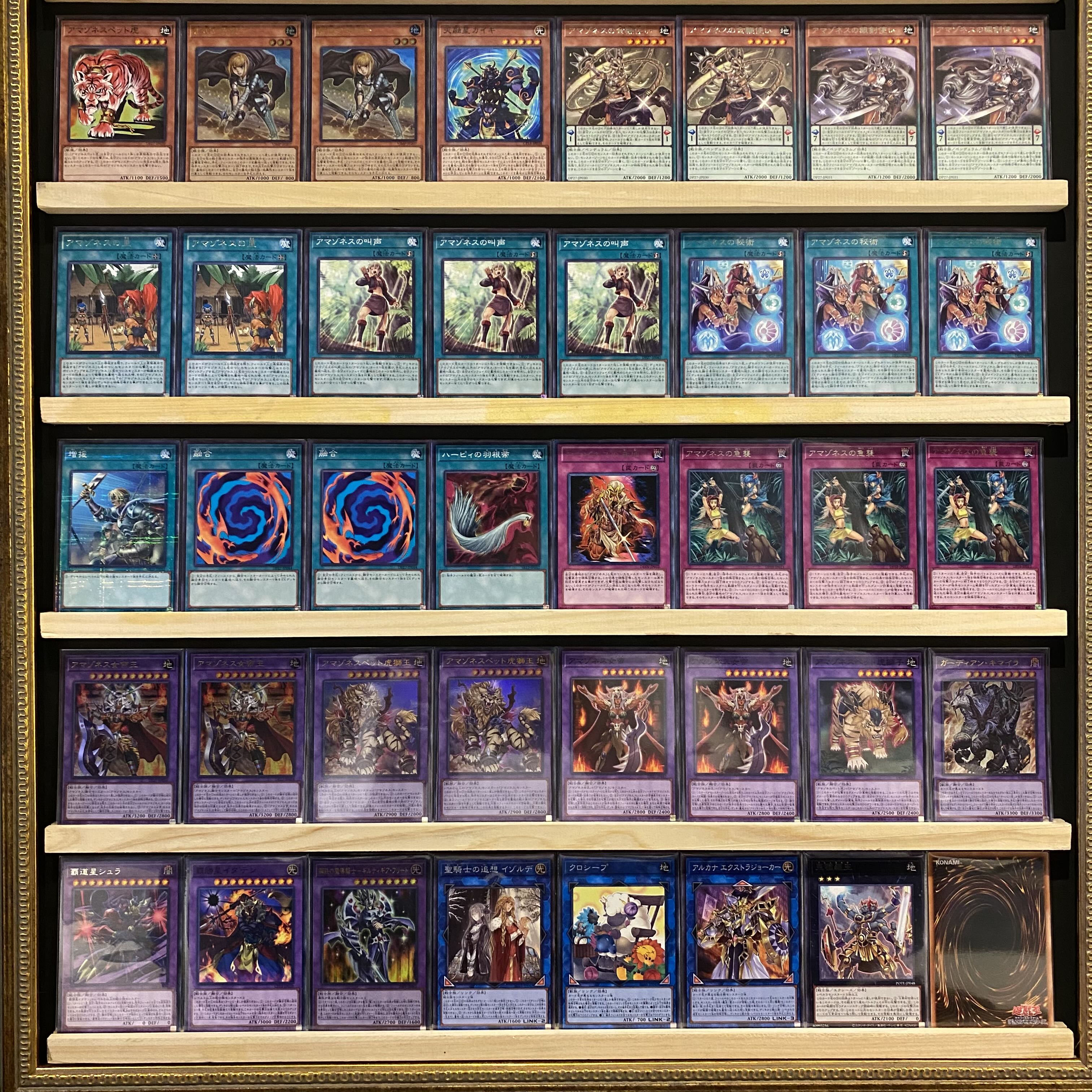 Ships same day! [Amazones] Deck, Yu-Gi-Oh, Tyler Sisters, Tanya-chan.