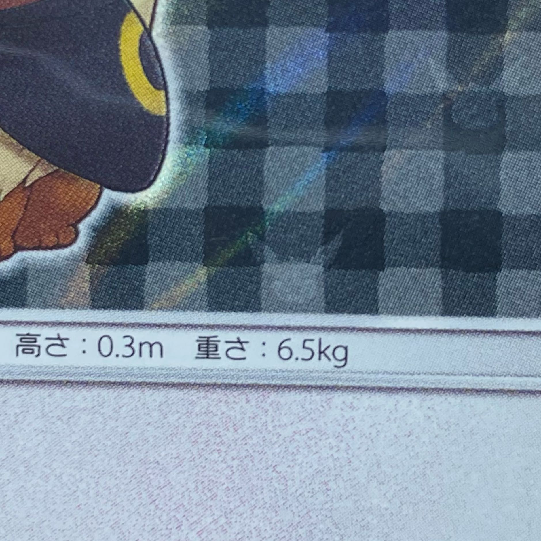 Eevee Umbreon in poncho, unopened.