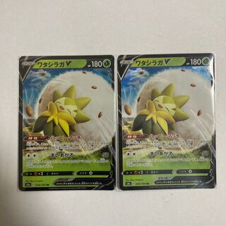 ワタシラガV RR 2枚