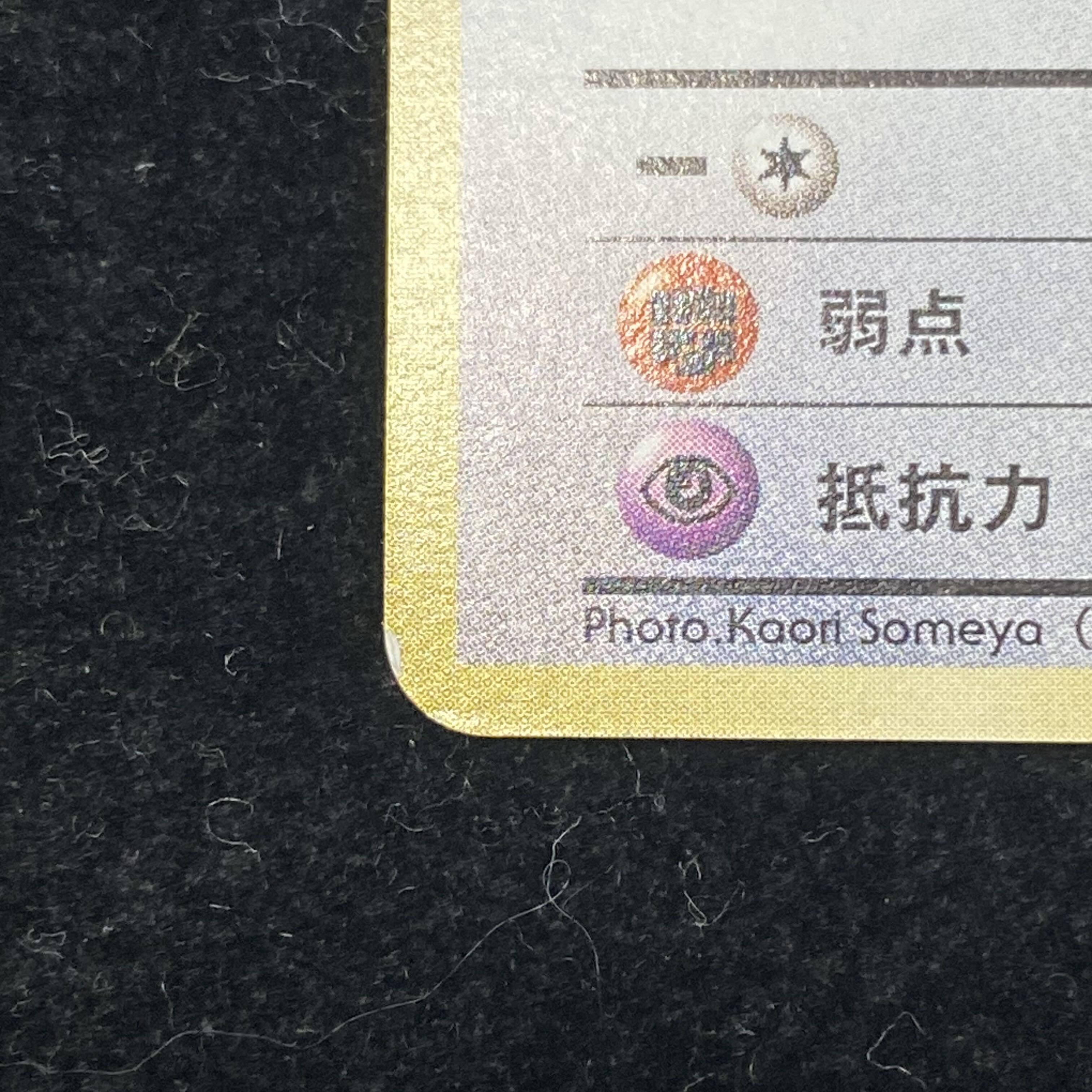 【期末SALE】ラッキー ポケモンスナップ プロモ 旧裏面