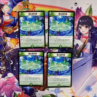 進化設計図 4枚