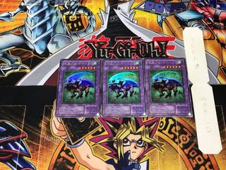 Chimera the Flying Mythical Beast 2nd period ver 1 Ultra set of 3 Tera